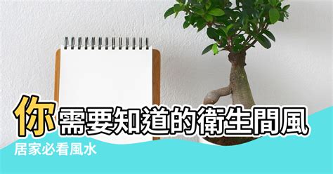 居家風水18個必知禁忌|居家風水擺設有何禁忌？2025 除舊佈新開運秘訣分享｜潔客